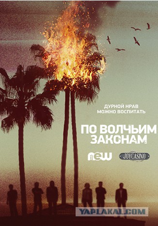 Малоизвестные, но интересные сериалы 4