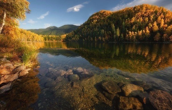 Порция картинок