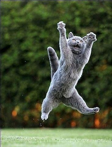 Подборка фот из этих Ваших интернетов