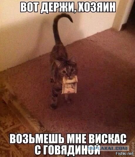 Картинки. 50 шт.