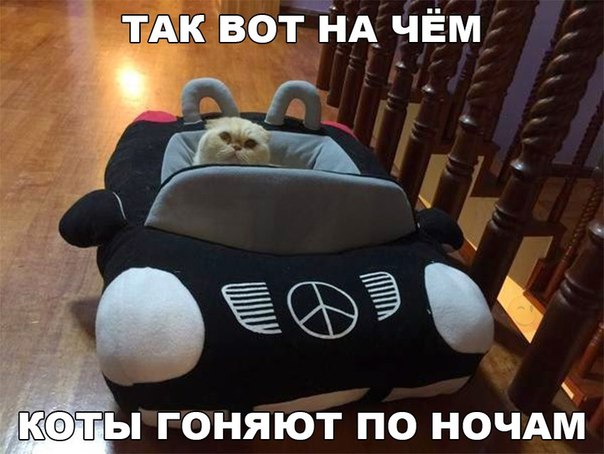 Подборка интересных и веселых картинок