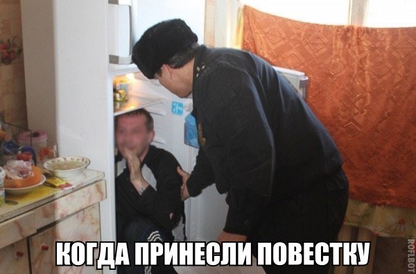 Подборка безудержного веселья
