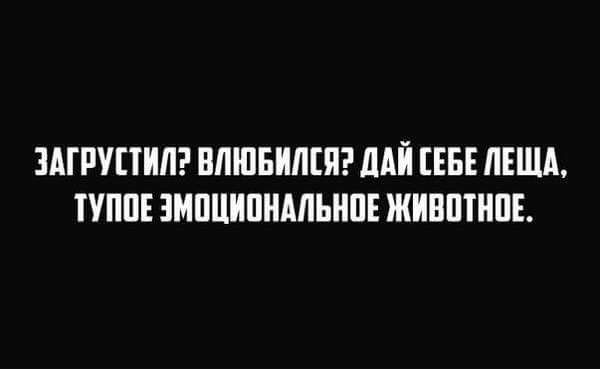 Смешные картинки