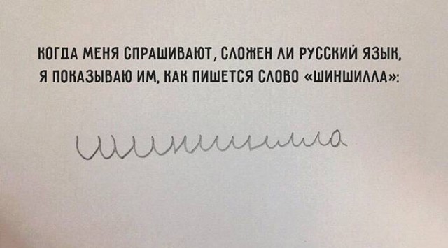 Забавные комментарии, шутки и фразы из этих ваших интернетов