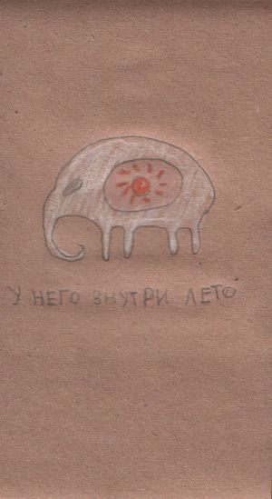 Все о слонах