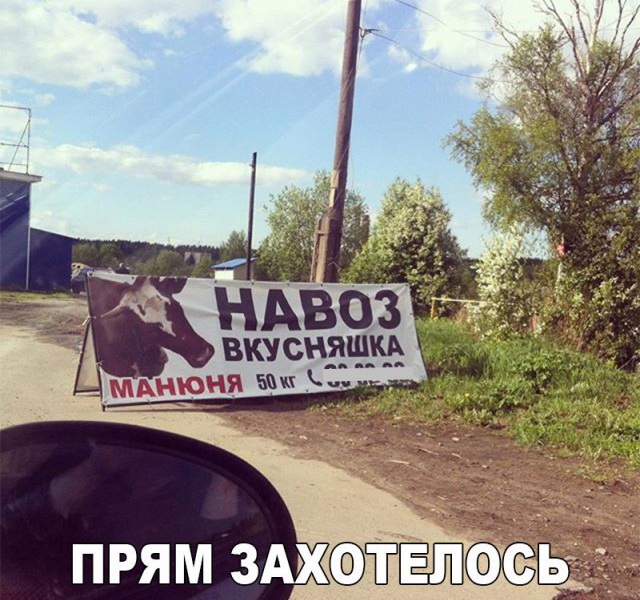 Всякая всячина