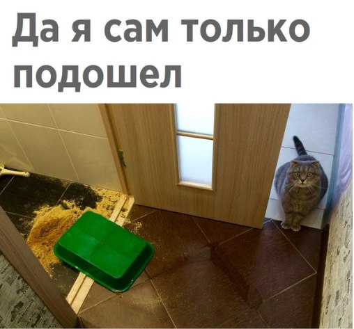 Подборка интересных и веселых картинок