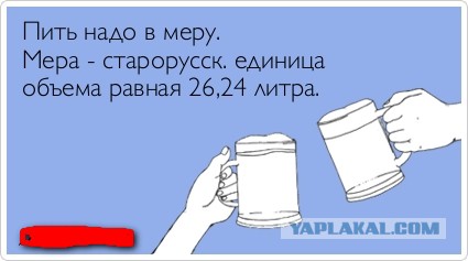 Мне не жалко алкашей
