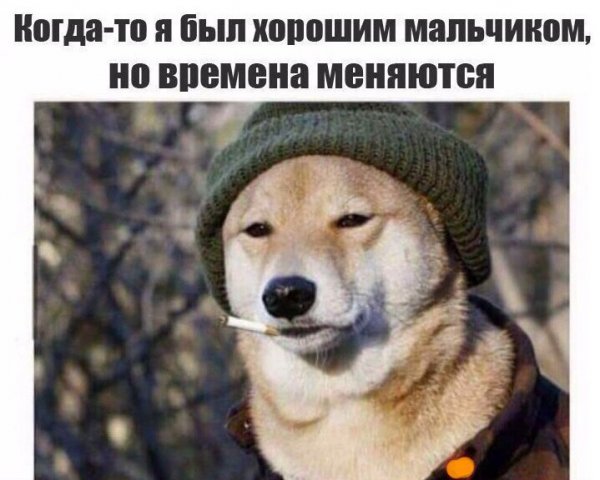 В Екатеринбурге грабители борцовским приемом обезвредили продавца и вынесли ноутбуков более чем на миллион рублей