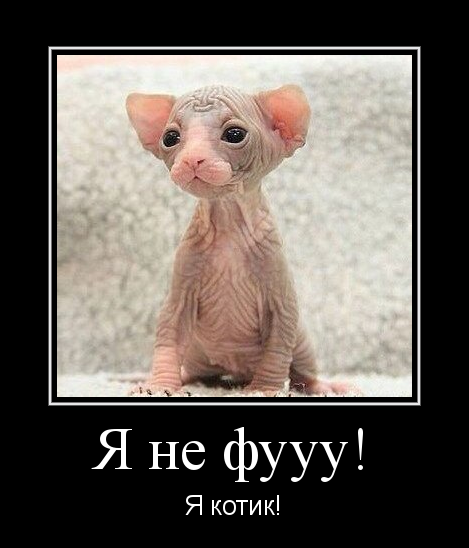 Лысики, "Чупакабрики", они же Сфинксы