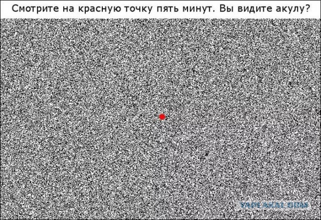 Странные картинки
