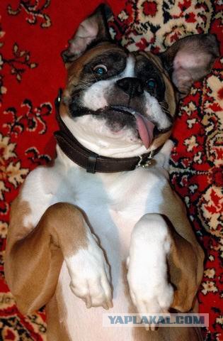 "Перекачала" она себе губы! :)