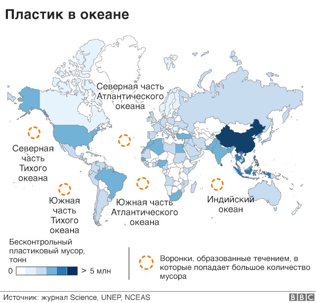 Экологическая катастрофа: Животы большинства китов забиты пластиком