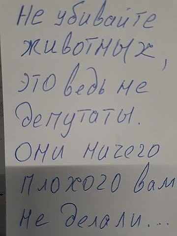 Даёшь картинкой по понедельнику