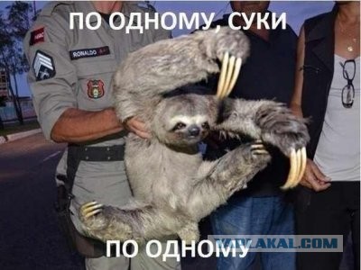 Паркур на перекуре