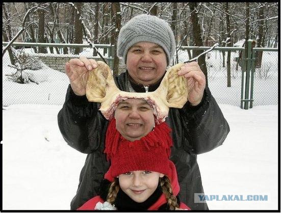 Бабушка глумится над внучкой (жесть)