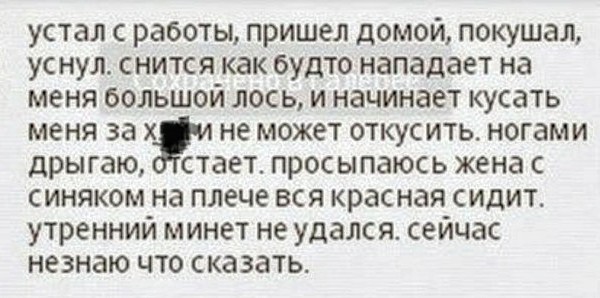 Картинки с надписями, истории и анекдоты 28.12.19