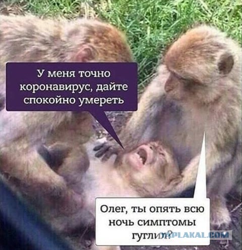 Про Китай и коронавирус. Часть 2.