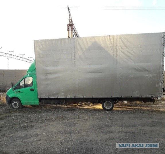 Газель. Просто газель