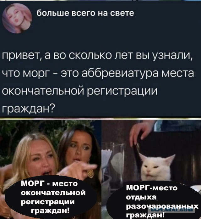 Мемы и картинки