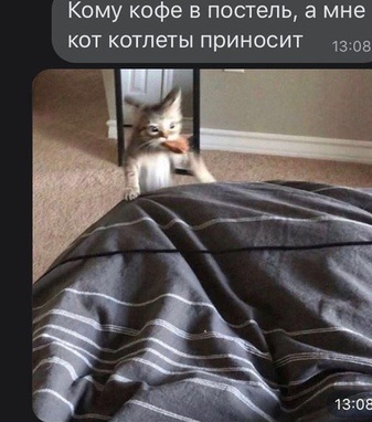 Немного картинок для настроения 26.10.20