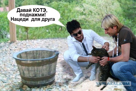 Фотожаба: Кто пил из бочки и все выпил?