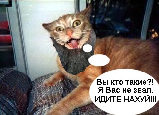 Дед отшельник (видео)