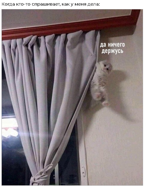 Картинки и мемы для настроения