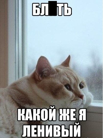 Так себе картинки 01.06.2021