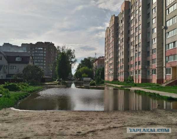 Брянск – город удивительно адекватных людей