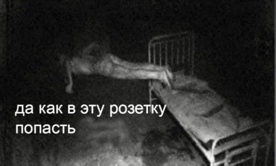 Весёлый полтишок 21.06.2021