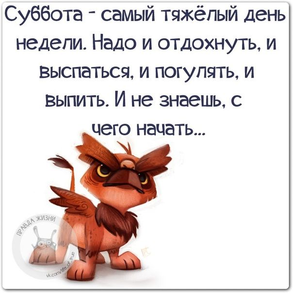Алкопост 28.08.21