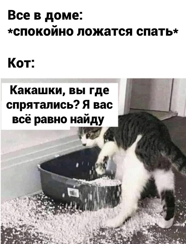 Весёлый полтишок 15.10