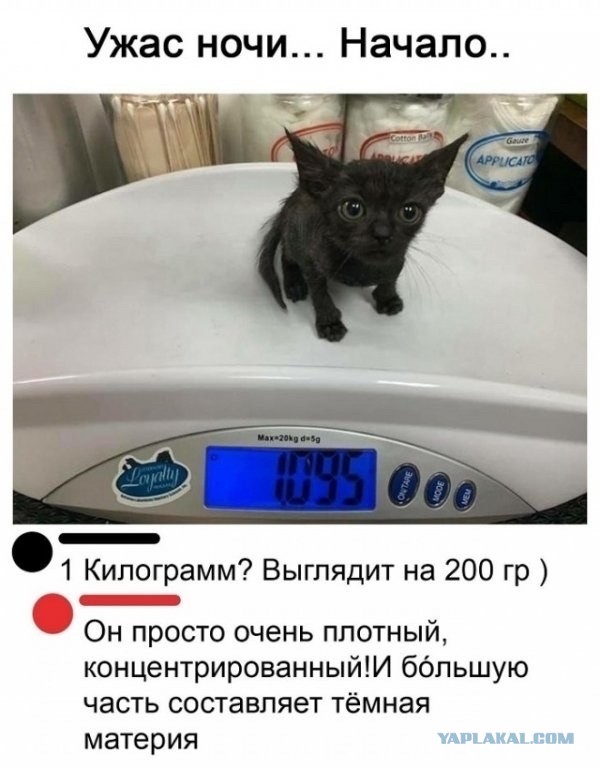 Картинки и мемы, всем прекрасных выходных