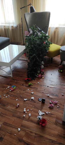 Как защитить елки от своих домашних питомцев
