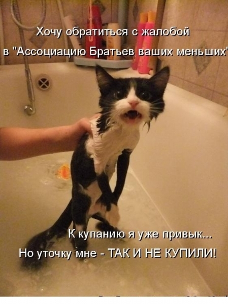 ПятничнаяХня, для деградантов