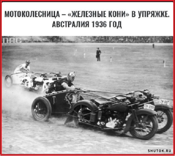 Так себе картинки 20.03.22