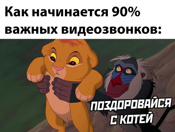 Картинки и мемы для настроения - 19