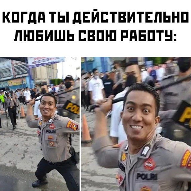 Картинки и мемы - "Жить, как говорится, хорошо..."