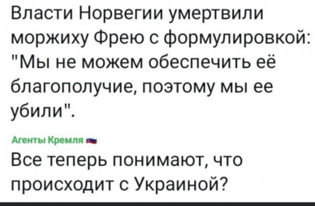 Страны НАТО передали для украинских раненых кровь, в которой нашли ВИЧ и гепатит