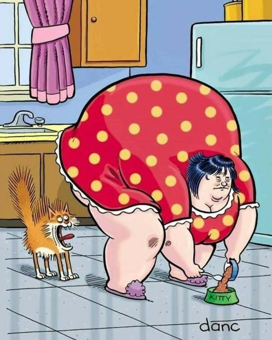 Котоюмор на ЯП. Веселые кото-картинки!