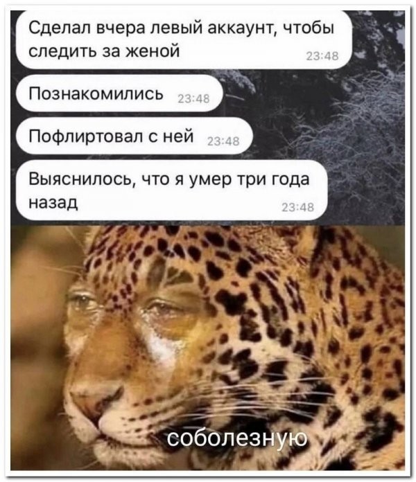 Тупняк на понедельник. 17 шт.