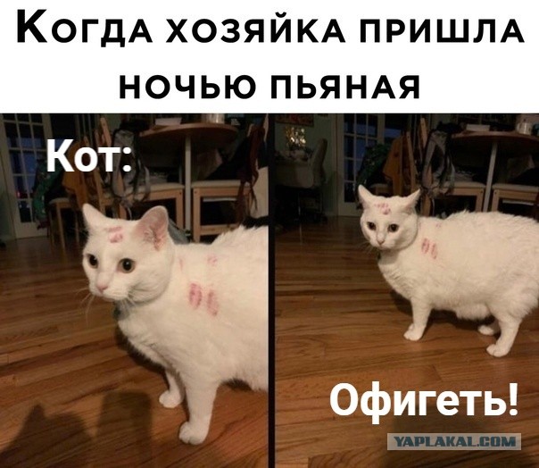 К вопросу о женской аноргазмии