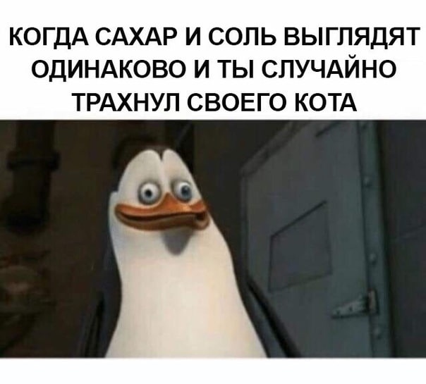 Чёрно-пошлая деградация