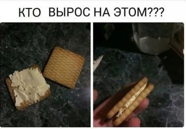 Завалялось тут случайно немного забавных картинок