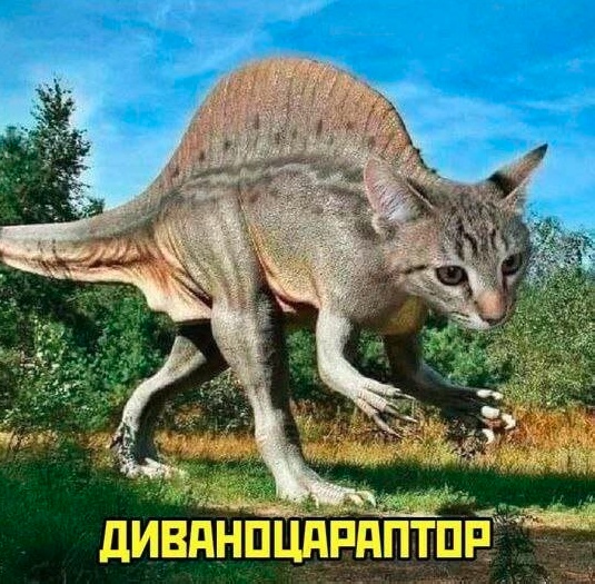 Так себе картинки 24.11.24