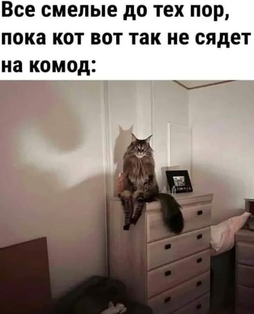 Так себе картинки 13.02.25
