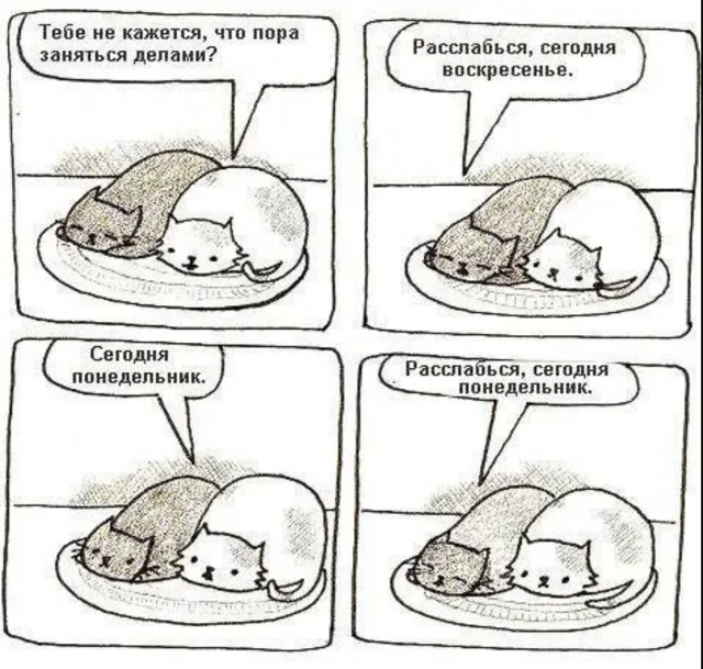 Картинки из ТГ чатов