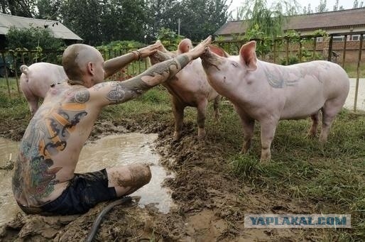 Почему чернила под кожей не расползаются (тату)