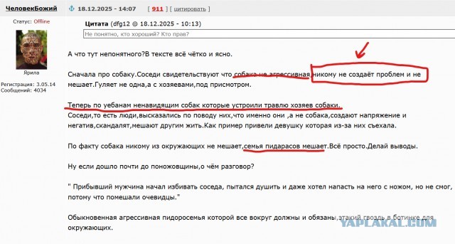 Скончалась 9-летняя девочка, на которую напали собаки в Васильево
